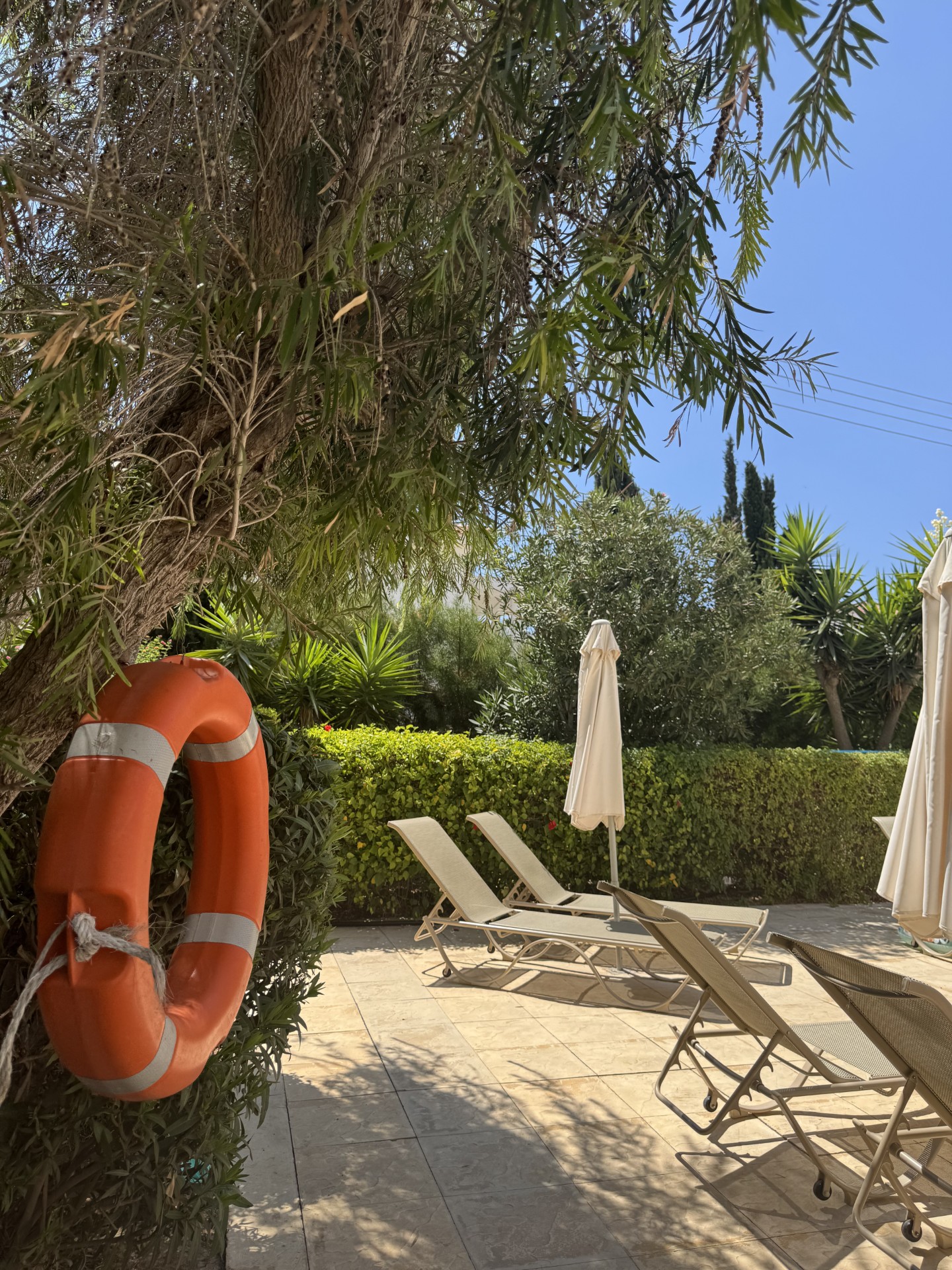 Hotel pool